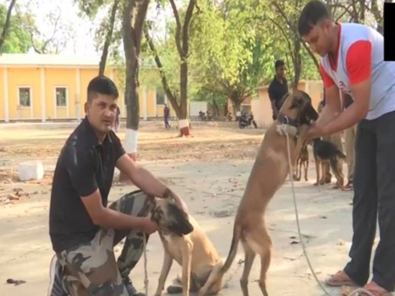 Kamal Nath Government transferred 46 police dogs and their handlers