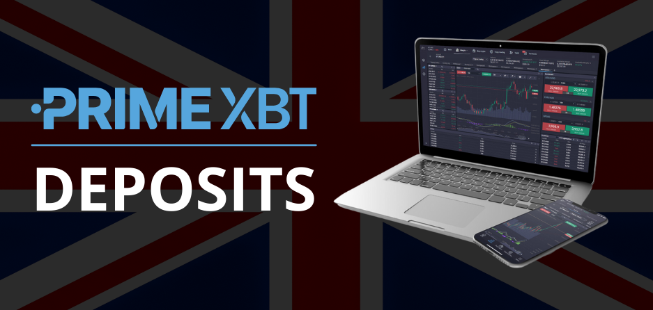 Exploring the World of PrimeXBT Forex Trading